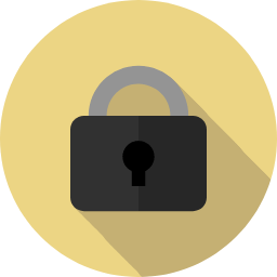 256 Bit SSL